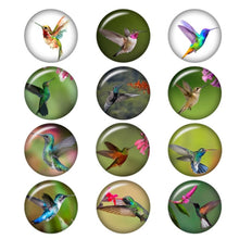 mixed butterfly dragonfly Hummingbird 12mm/16mm/20mm/25mm Round photo glass cabochon demo flat back Making findings BP2017|Jewelry Findings & Components|